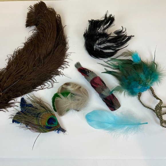 Other - Natural feathers of rare birds